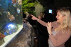Heidi i akvariet i Dubai Mall