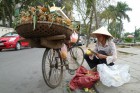 Hanoi