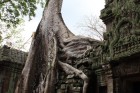 Ta Prohm