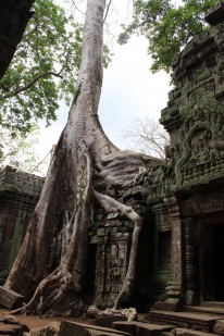 Ta Prohm