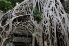 Ta Prohm