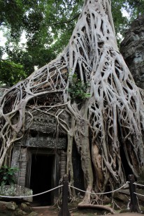 Ta Prohm